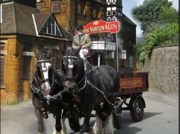 Drinking Hook Norton Brewery Shire Horses and Dray in the Cotswolds